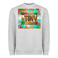 Educator Of Tiny Humans Heavyweight Sweatshirt | Teevron