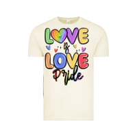 Vintage Arctic love is love pride Vintage Tee - MaliasSmallBusiness