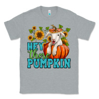 Heather Grey Hey there pumpkin Lamb Classic Tee - NancyCooperArtShop