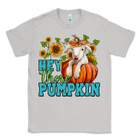 Moon Dust Hey there pumpkin Lamb Classic Tee - NancyCooperArtShop