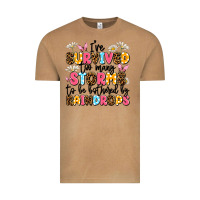 Vintage Camel i've survived too many storms Vintage Tee - JahusDesignShop