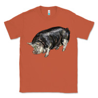 Copper poland china pig Classic Tee - LillyAllenDesigns