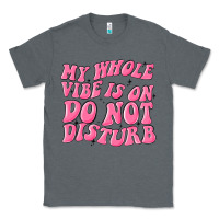 Charcoal Heather my whole vibes on do not disturb Classic Tee - MaliasSmallBusiness