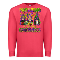 Cardinal parading with my gnomies mardi gras Premium Sweatshirt - CowGirlArtShop