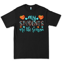 Black my students are the reason Premium Tee - JahusDesignShop