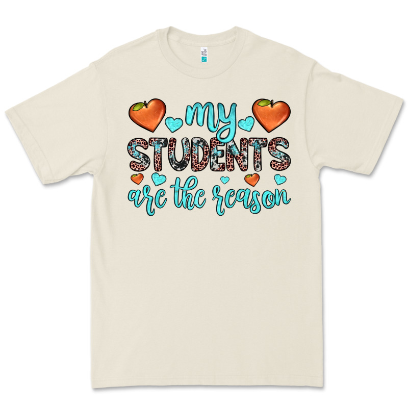 My Students Are The Reason Premium Tee by JahusDesignShop | Teevron