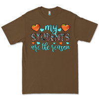 Cacao my students are the reason Premium Tee - JahusDesignShop