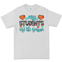 Dove Grey my students are the reason Premium Tee - JahusDesignShop