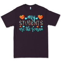 Plum my students are the reason Premium Tee - JahusDesignShop