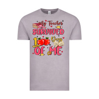 Vintage Zinc my teacher survived 100 days of me Vintage Tee - MaliasSmallBusiness