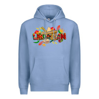 Colony Blue cinco de mayo librarian Premium Hoodie - CowGirlArtShop