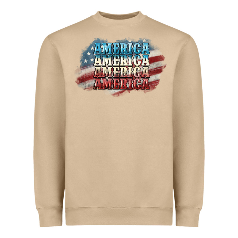 America America Heavyweight Sweatshirt by NancyCooperArtShop | Teevron