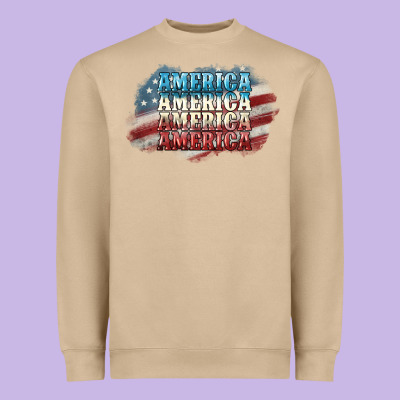 America America Heavyweight Sweatshirt Designed By Nancycooperartshop