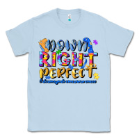 Dusty Blue down right perfect Classic Tee - JahusDesignShop