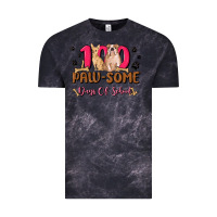 Cloud Black 100 paw some days of school Vintage Tee - MaliasSmallBusiness
