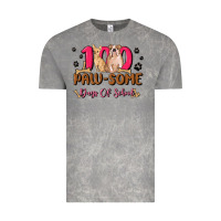 Cloud Rock 100 paw some days of school Vintage Tee - MaliasSmallBusiness