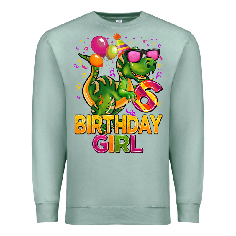 6th Birthday Girl T Rex Pink Premium Sweatshirt by CowGirlArtShop | Teevron