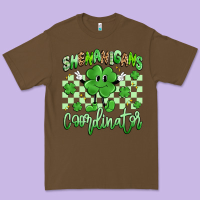 Shenanigans Coordinator Premium Tee Designed By Artiststas