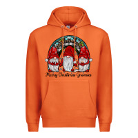 Carrot merry Christmas Gnomes Rainbow Premium Hoodie - JahusDesignShop