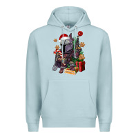 Blue Mist Christmas gnome Premium Hoodie - CowGirlArtShop