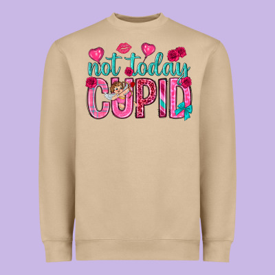 Not Today Cupid Heavyweight Sweatshirt Designed By Nancycooperartshop
