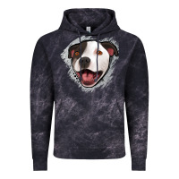 Cloud Black pittbull gray glitter Vintage Hoodie - Jasminsmagicworld