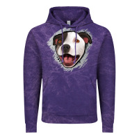 Cloud Purple pittbull gray glitter Vintage Hoodie - Jasminsmagicworld