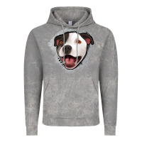 Cloud Rock pittbull gray glitter Vintage Hoodie - Jasminsmagicworld