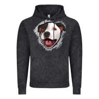 Pittbull Gray Glitter Vintage Hoodie | Teevron