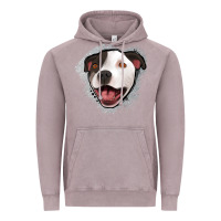 Vintage Zinc pittbull gray glitter Vintage Hoodie - Jasminsmagicworld
