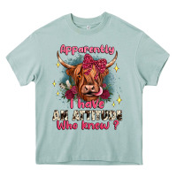 Arona apparently i have an attitude who knew Heavy Core Tee - JahusDesignShop