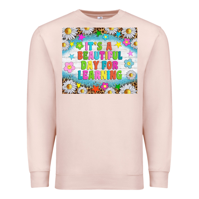 It's A Beautiful Day For Learning Tumblr Premium Sweatshirt by TumblerDesignByShophia | Teevron