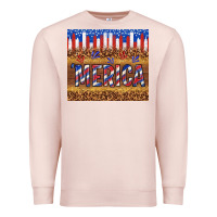 Pale Pink 'merica Premium Sweatshirt - TumblerDesignByShophia