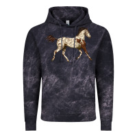 Appaloosa Horse Vintage Hoodie | Teevron