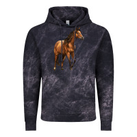 Cloud Black Quarter Horse Vintage Hoodie - LillyAllenDesigns