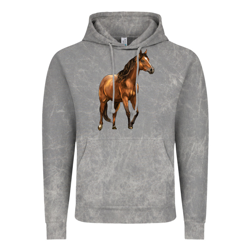 Quarter Horse Vintage Hoodie by LillyAllenDesigns | Teevron