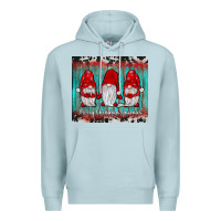 Blue Mist merry christmas gnomies tumbler Premium Hoodie - JahusDesignShop