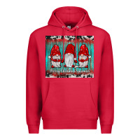 Cardinal merry christmas gnomies tumbler Premium Hoodie - JahusDesignShop