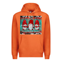 Carrot merry christmas gnomies tumbler Premium Hoodie - JahusDesignShop