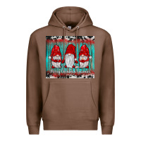 Chestnut merry christmas gnomies tumbler Premium Hoodie - JahusDesignShop
