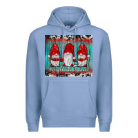 Colony Blue merry christmas gnomies tumbler Premium Hoodie - JahusDesignShop