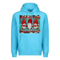 Ocean Blue merry christmas gnomies tumbler Premium Hoodie - JahusDesignShop