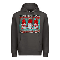Smoke merry christmas gnomies tumbler Premium Hoodie - JahusDesignShop