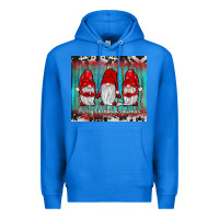 True Royal merry christmas gnomies tumbler Premium Hoodie - JahusDesignShop