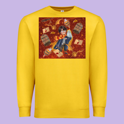 Wizard Boy With Magic Items Premium Sweatshirt Designed By Tumblerdesignbyshophia