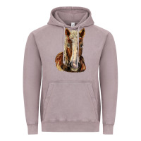 Belgian Horse Vintage Hoodie | Teevron