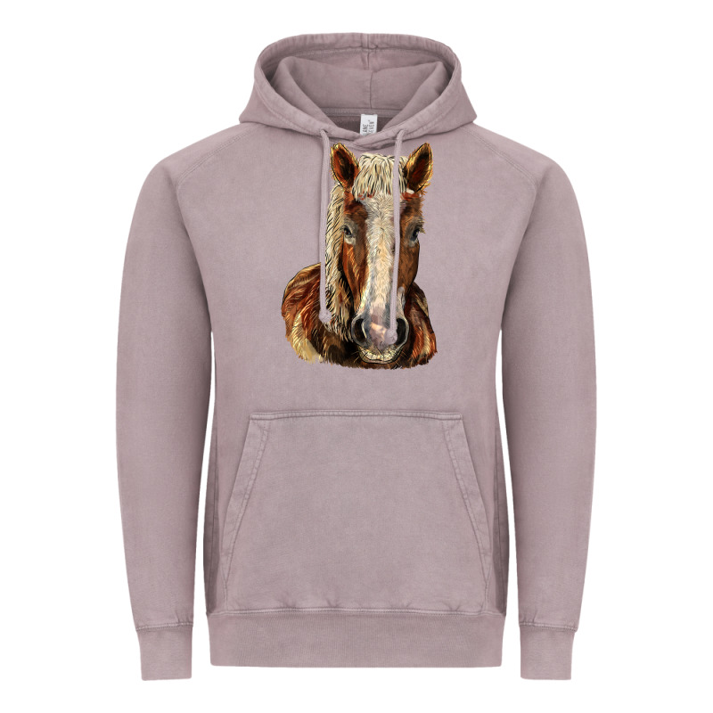 Belgian Horse Vintage Hoodie by LillyAllenDesigns | Teevron