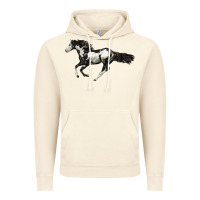 Vintage Artic American Paint Horse Vintage Hoodie - LillyAllenDesigns