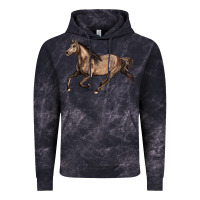 Cloud Black Missouri Fox Trotter horse Vintage Hoodie - LillyAllenDesigns