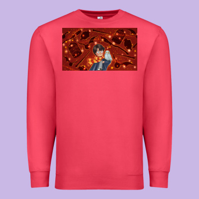 Wizard Boy And Owl Premium Sweatshirt Designed By Tumblerdesignbyshophia